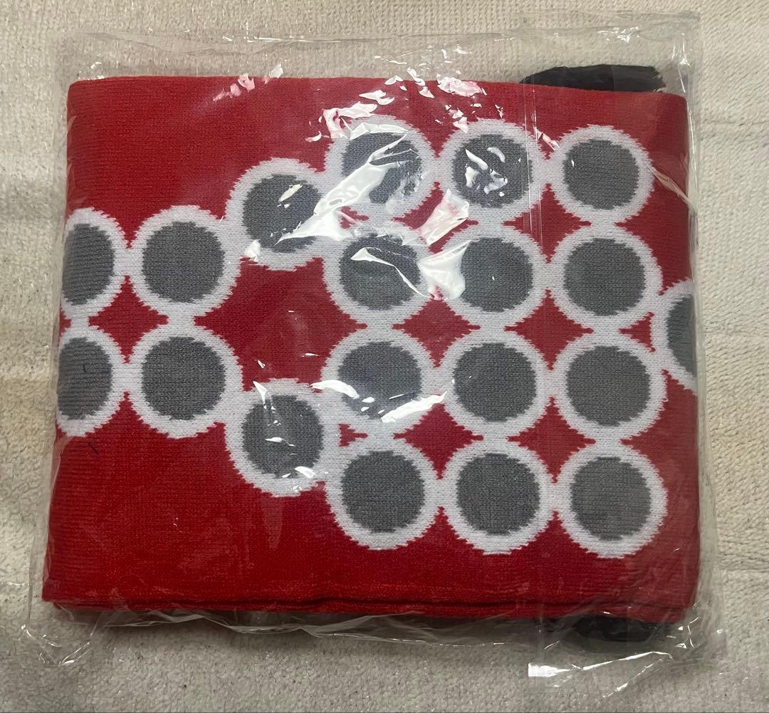 平沢進 核P-MODEL 非コード人のアコード マフラー - メルカリ