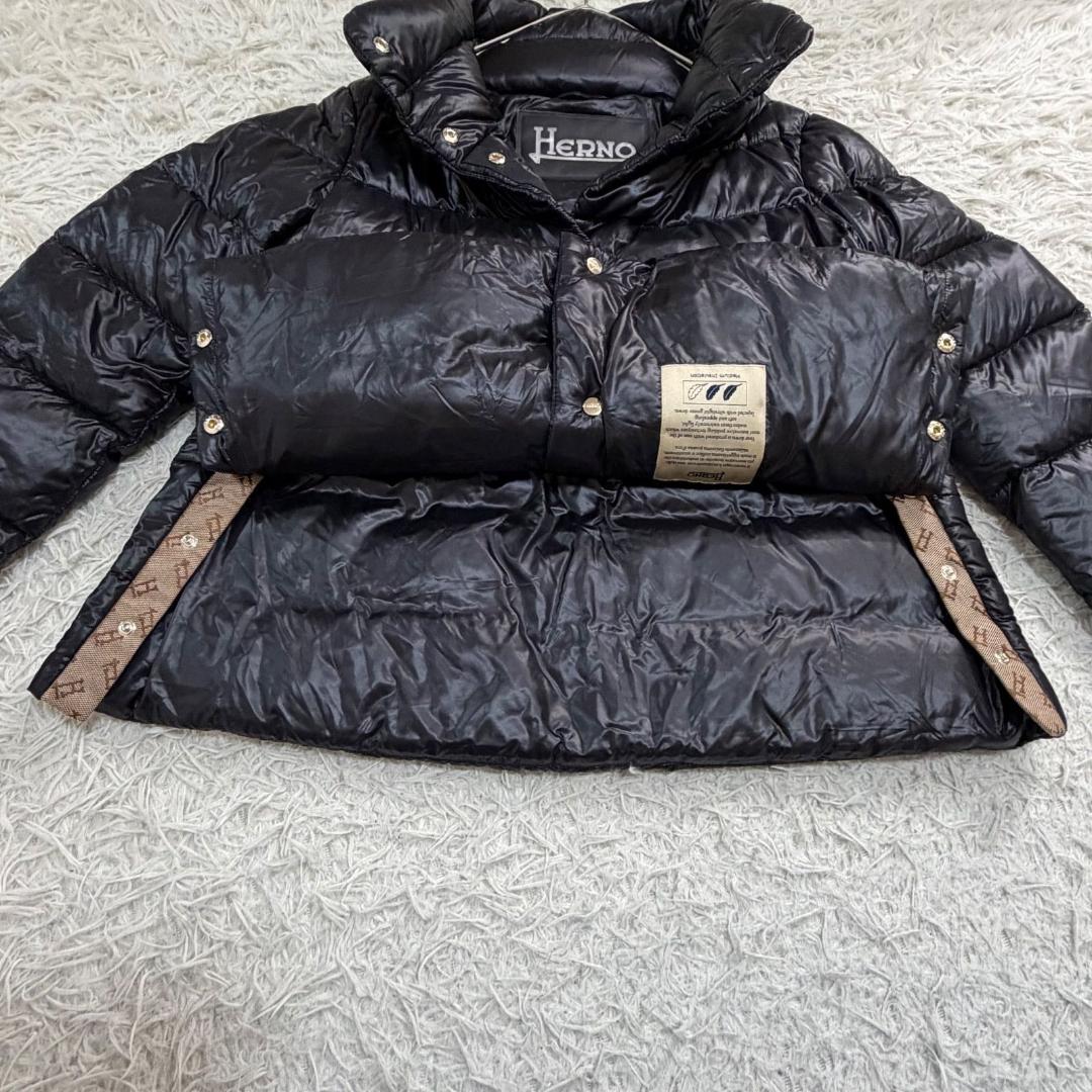 17530✨ヘルノ モノグラム ウルトラライトダウンジャケット 38