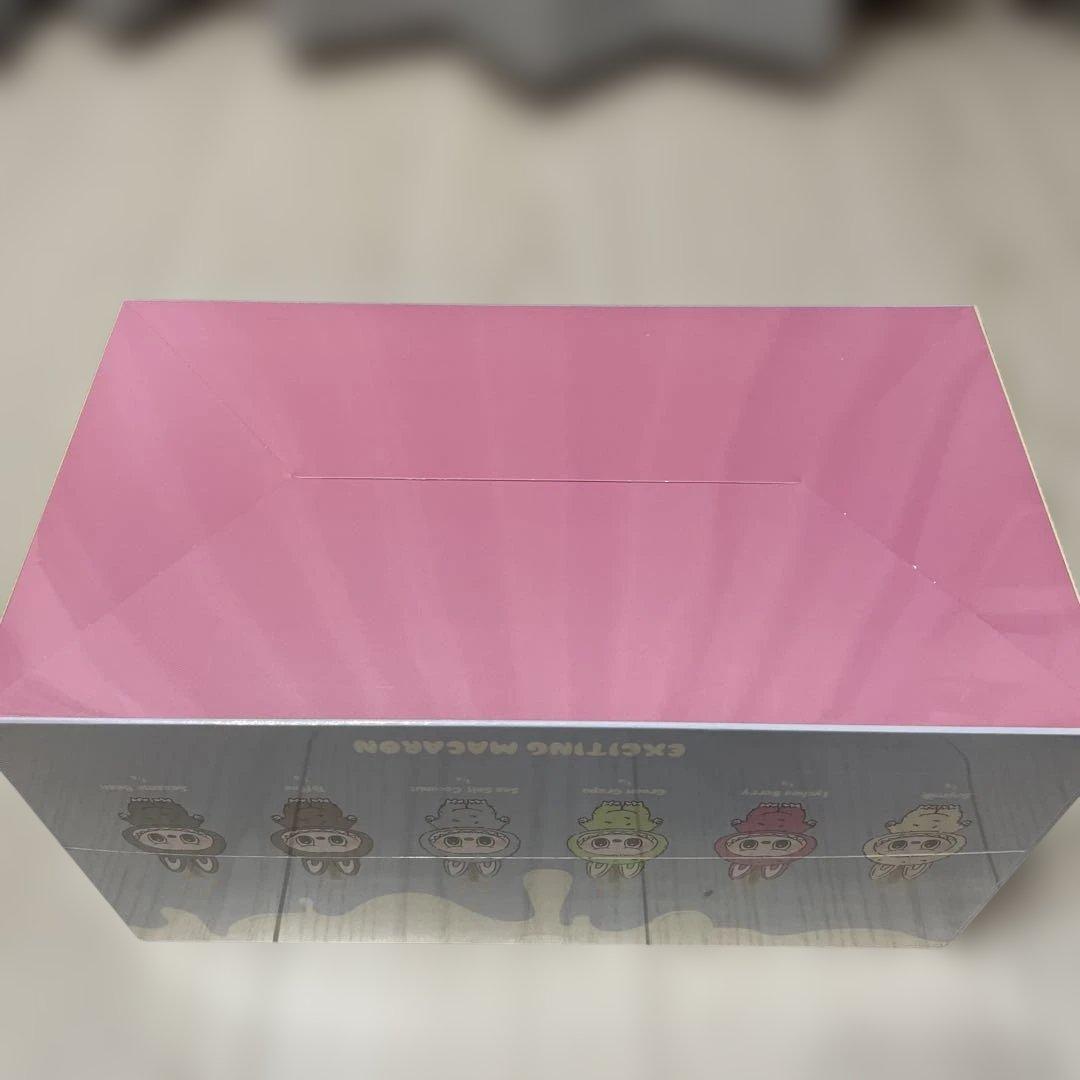 LABUBU EXCITING MACARON アソートボックス