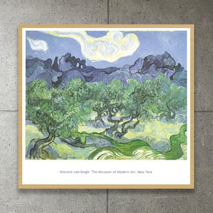 額装済/オリーブの林 1889/フィンセント ファン ゴッホ/アートポスター ボクらのアート / 黄色い空と輝く太陽のオリーブ林 Olive Trees(1889