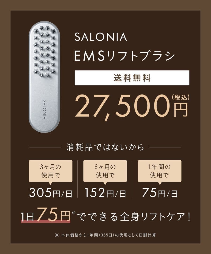 ★新品未使用★SALONIA《サロニアEMSリフトブラシ》デンキブラシ