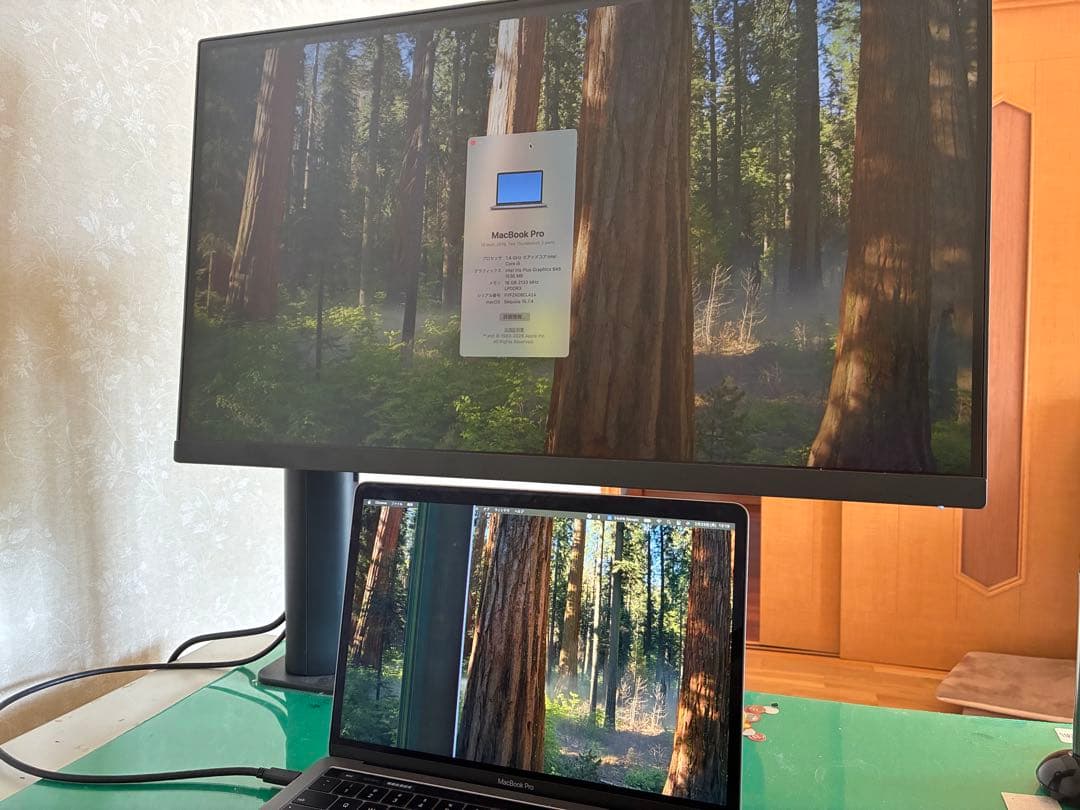 ジャンク】MacBook Pro シルバー 本体と充電器 - メルカリ