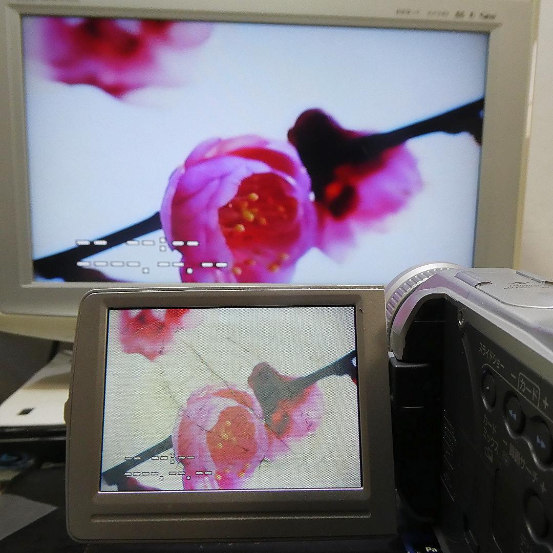 動作良好 キャノン DM-FV M10 MiniDVビデオカメラ DVD化に最適