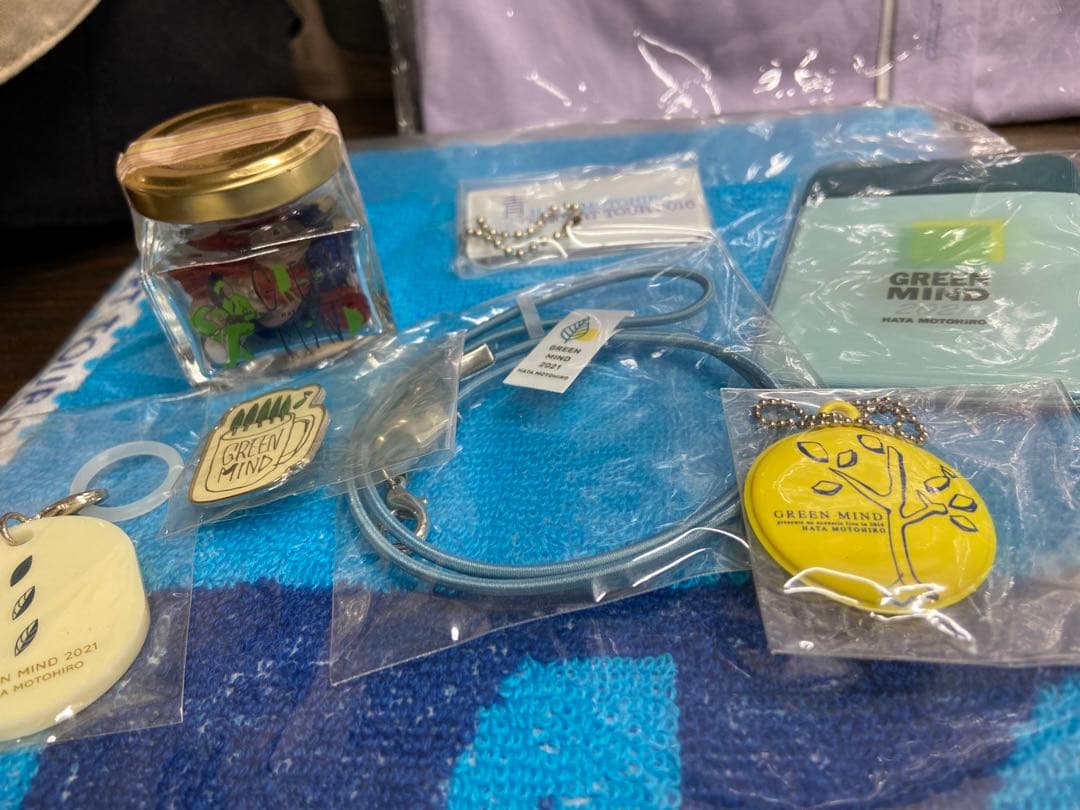 期間限定値引！秦基博/グリーンマインド/青の光景/ツアーグッズ/おまけ付き/希少