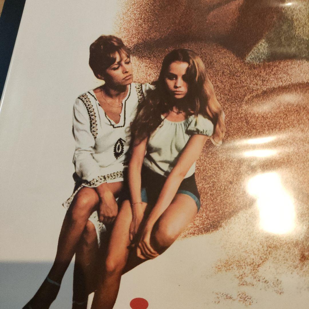 ナタリー・ドロン「新個人教授」本国フランスオリジナル映画ポスター