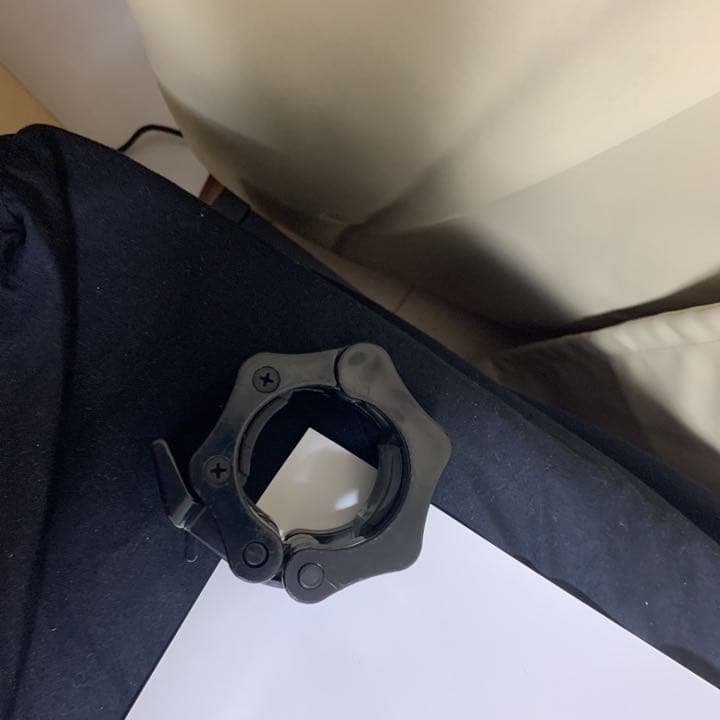 椎名林檎　発育ステータス　御起立ジャポン　非売品　ポスター