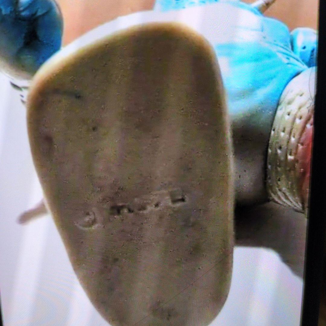 ブルマァク.ソフビ.ウィンダム。