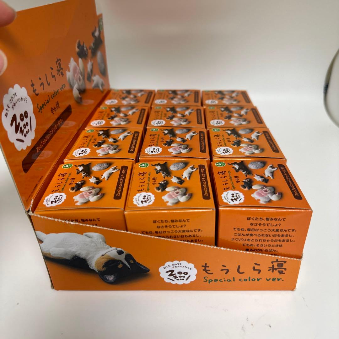 希少 17年製 ZooZooZoo もうしら寝 スペシャルカラー 12個 Zoo Zoo Zoo