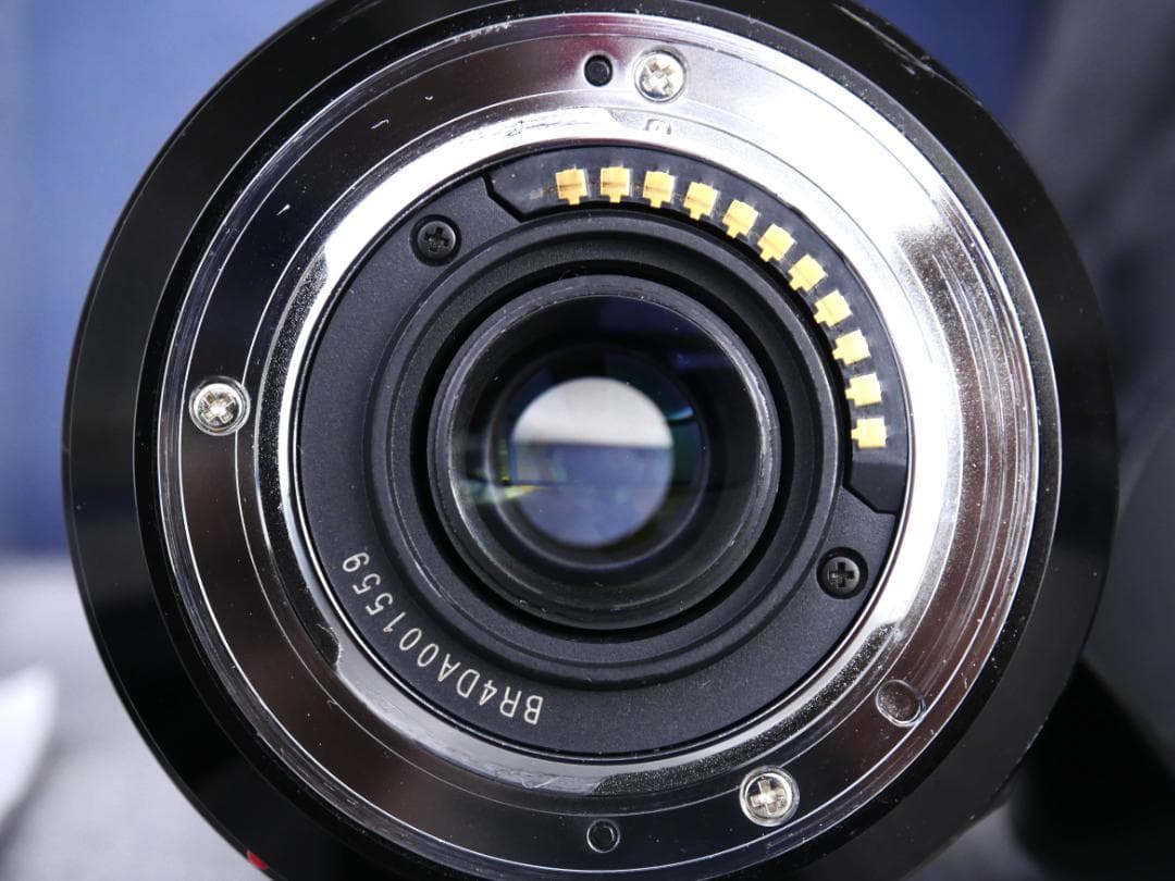 LUMIX G VARIO 14-140mm F3.5-5.6 Ⅱ ASPH.