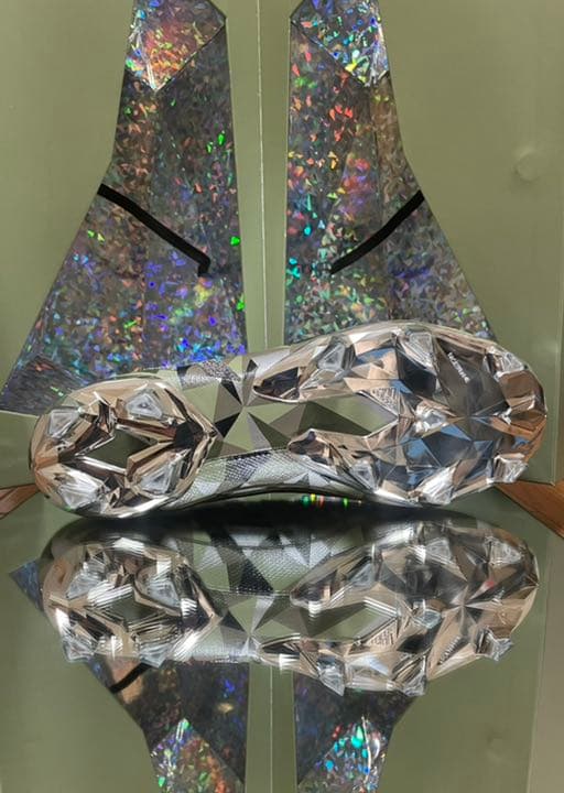 プレデタースワロフスキーエッジクリスタル+ FG