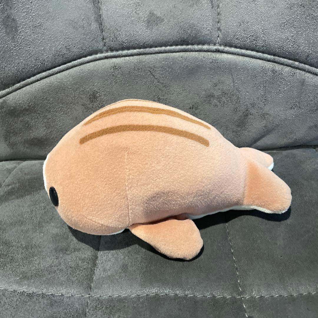 希少 まめゴマ しまゴマ ビーズぬいぐるみ