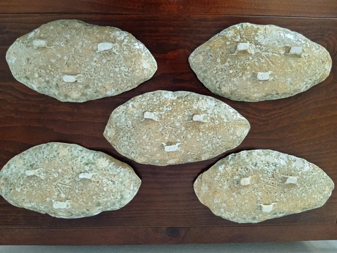 蓮善隆 灰釉平向付5客セット（伊賀焼）