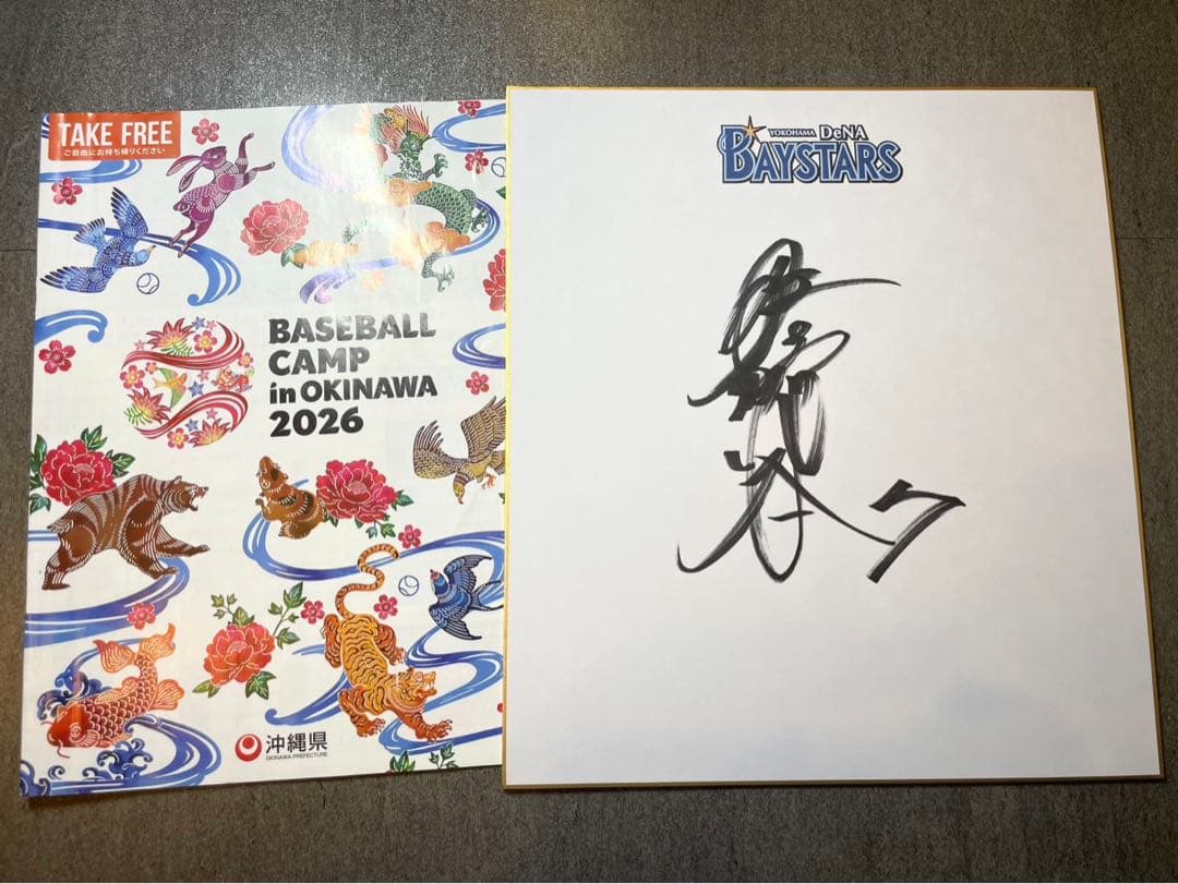 DeNAベイスターズ 佐野恵太 直筆サイン色紙 2026沖縄キャンプ - メルカリ