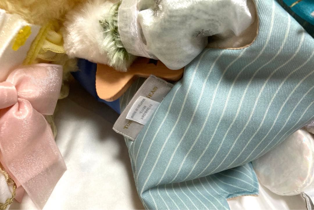 ダッフィーフレンズ　スターリードリームス コスチューム ぬいぐるみ クッキーアン