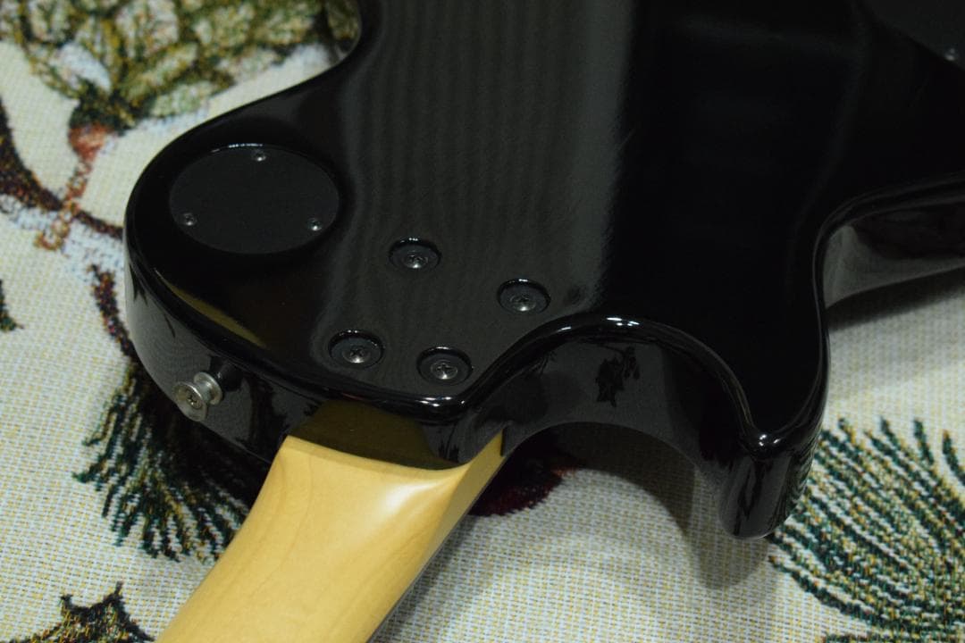 Burny Fernandes LG-480 SLG-50 ソフトケース付 - メルカリ