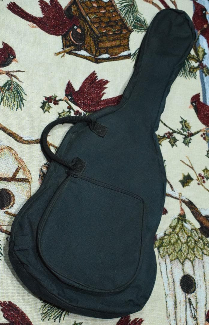 Burny Fernandes LG-480 SLG-50 ソフトケース付 - メルカリ