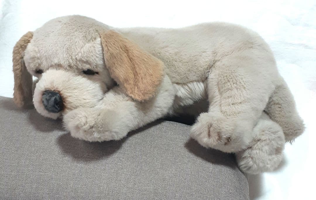 美品】ジョックライン JOCKLINE社 当時物 イタリア製 犬 ゴールデン