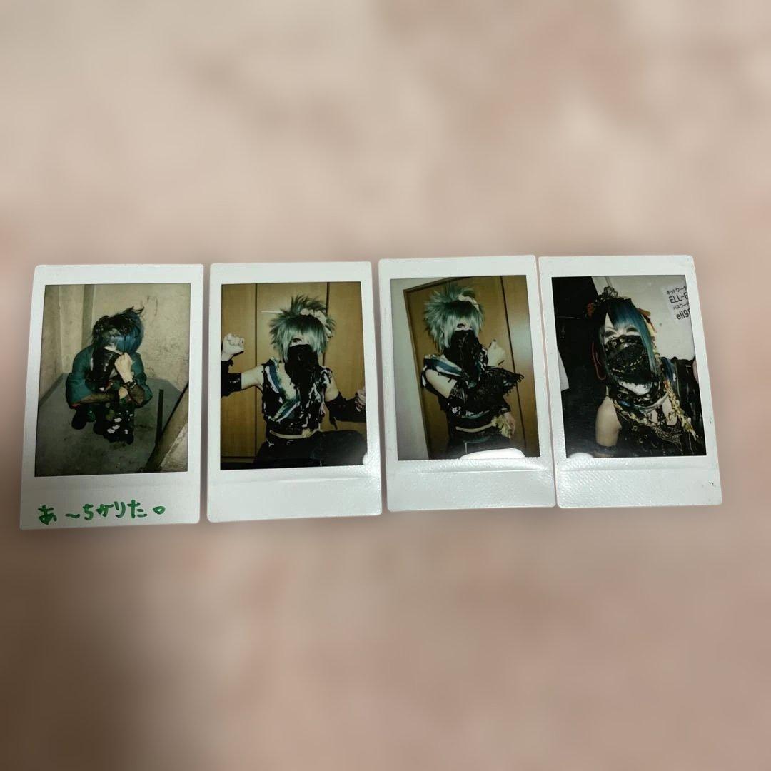 己龍 過去チェキセット