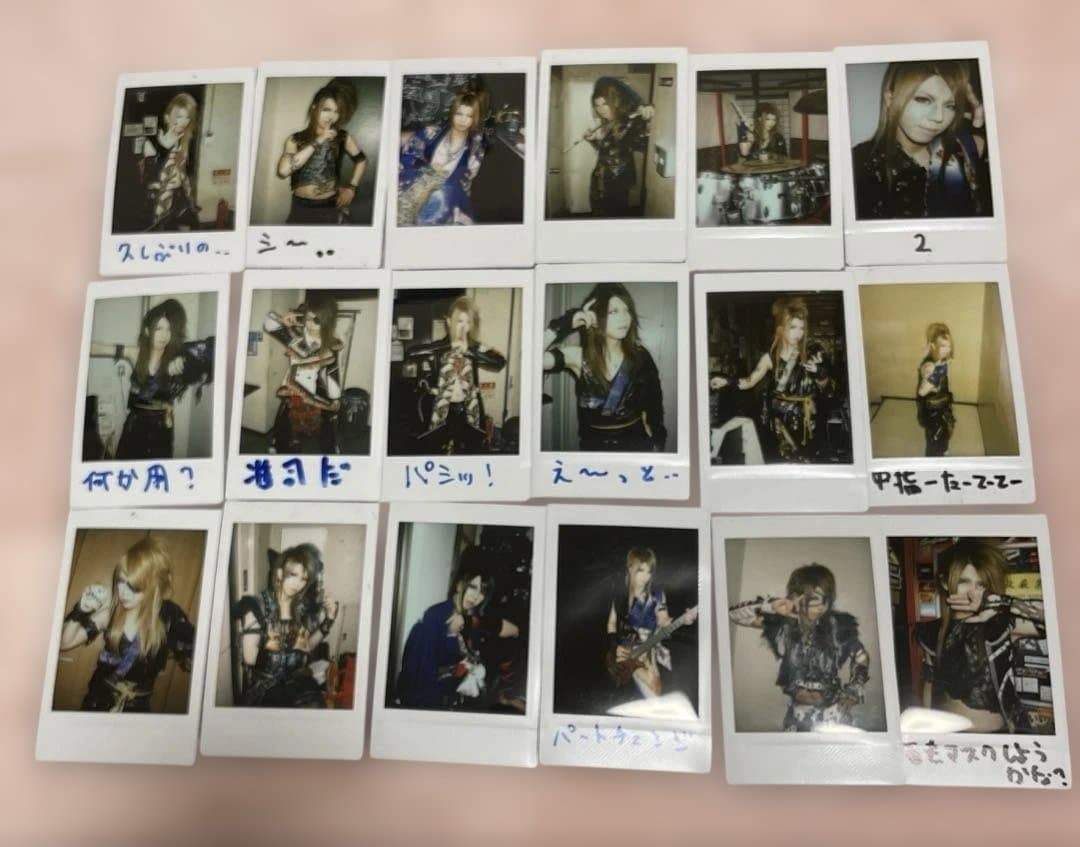 己龍 過去チェキセット