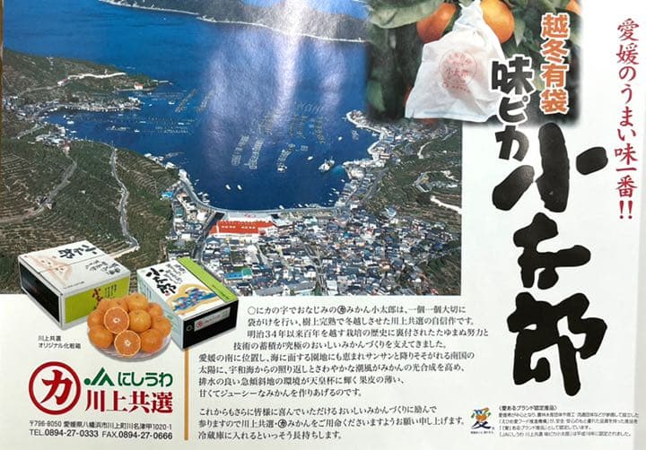 超希少！！最高級みかん！！愛媛県産【小太郎】Sサイズ 約30玉 2kg