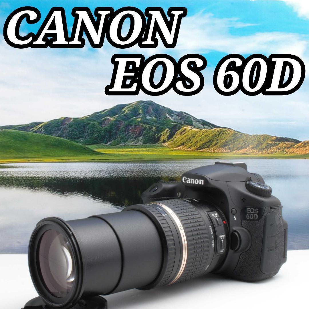 シャッター数257回 Canon EOS 60D タッチ操作感覚で簡単 Canon機ユーザー必見！キヤノンカメラのシャッター回数を知る方法