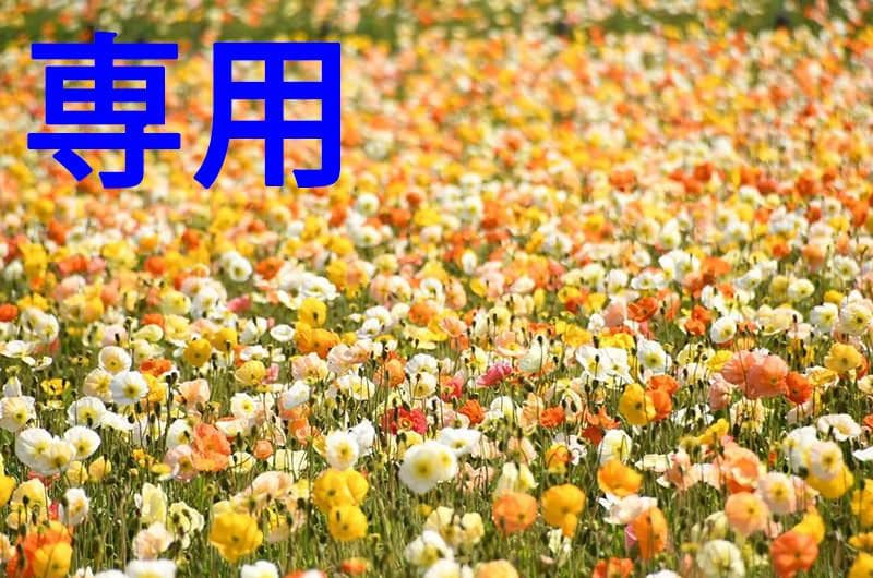 ナナクロさん専用 nanamica / ナナミカ | ALPHADRY Club Pants - Black | 通販 - 正規