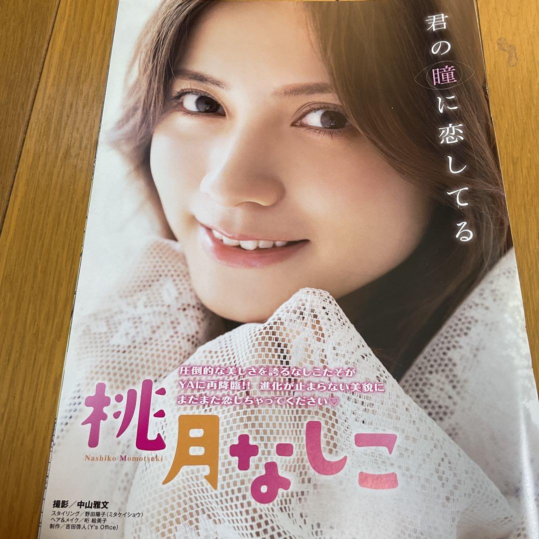 一時値下げ　桃月なしこ　両面ポスター6点、切り抜き