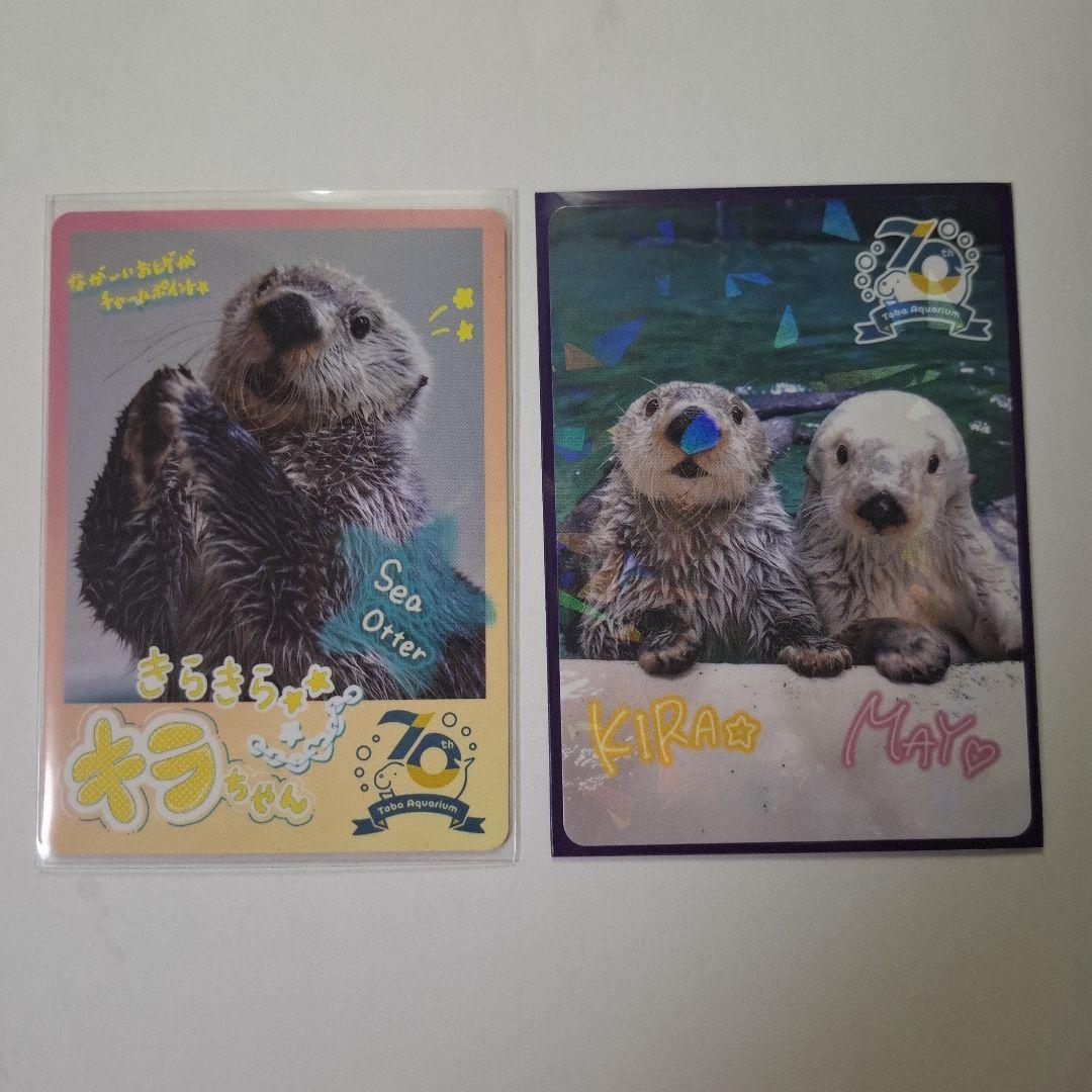 鳥羽水族館　70周年記念コレカ　レア2枚ノーマル2枚メイ☆キラ