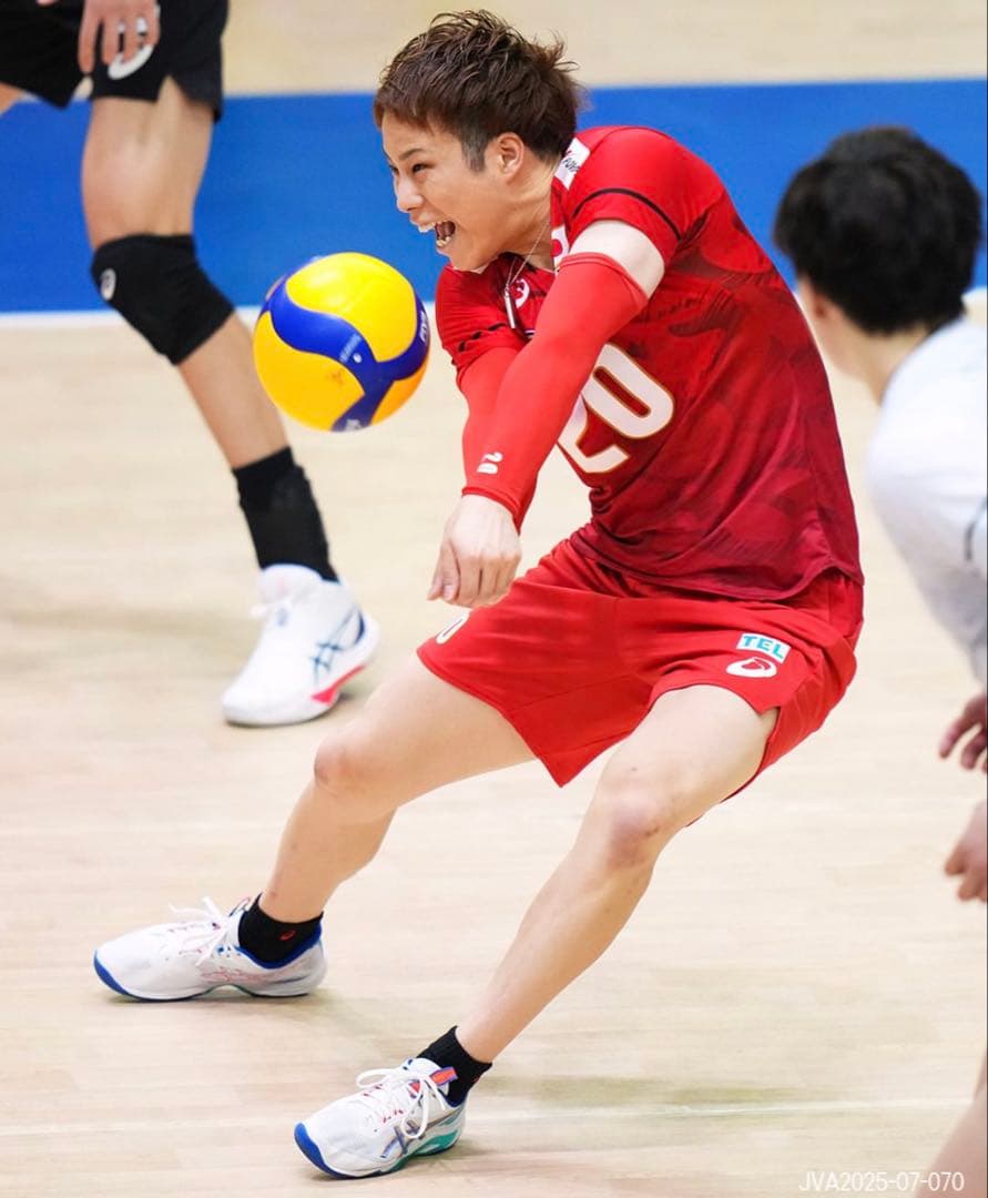 アシックス　バレーボールシューズ　スカイエリートFF3 25.5cm 新品未使用