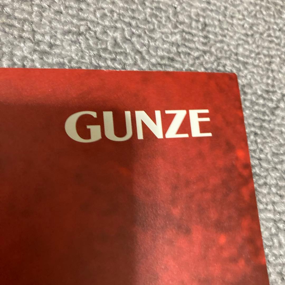 井川遥 BODY WILD FIT BOXER ポスター 美品 グンゼ 2