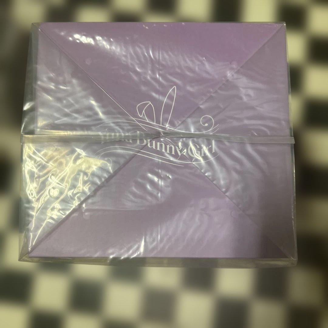 ユナ バニーガールVer. illustration by Biya 1/4