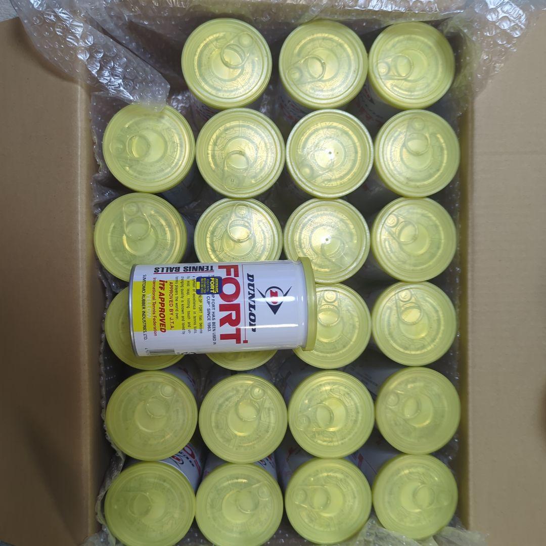 DUNLOP FORT テニスボール 24缶 Amazon | DUNLOP Fort All Court TS テニスボール ユニ 大人用