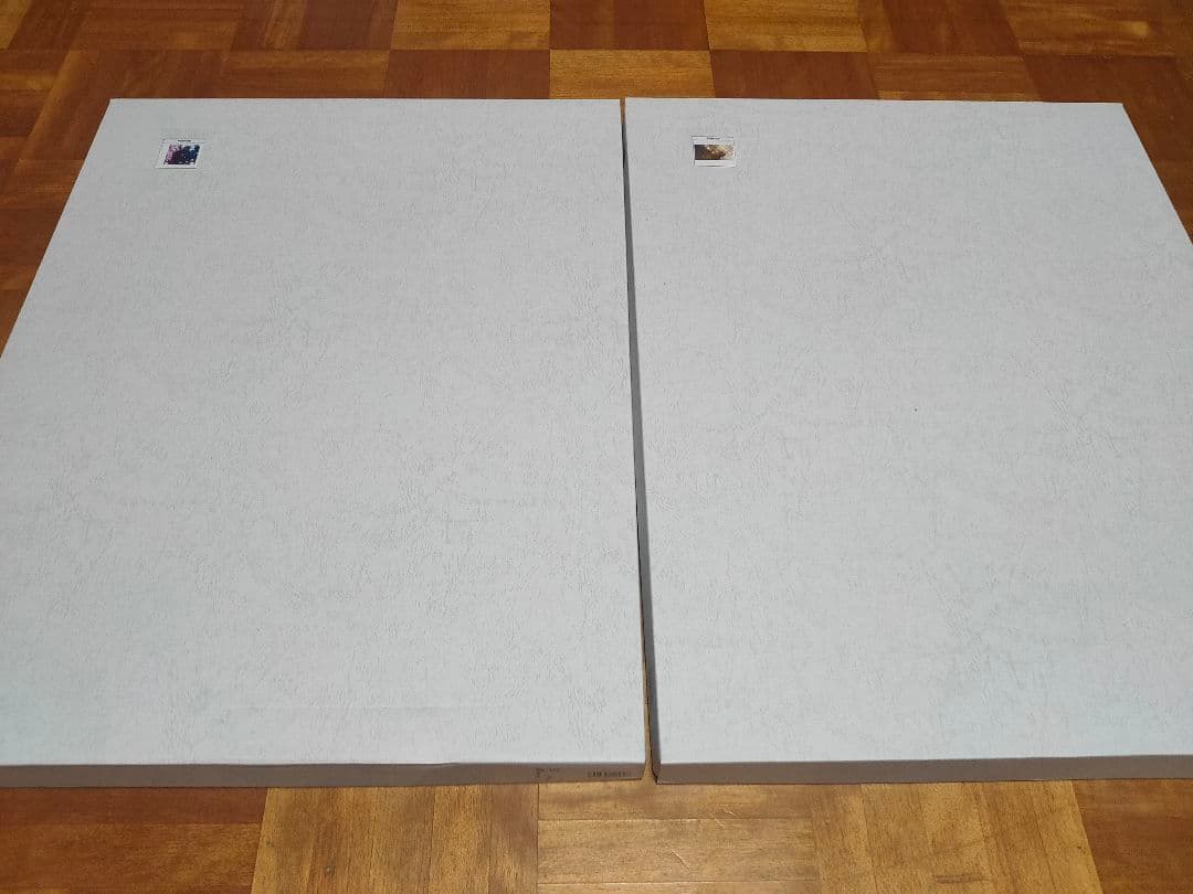 アオイトリ メアリー 複製原画 複製イラスト purple パープル