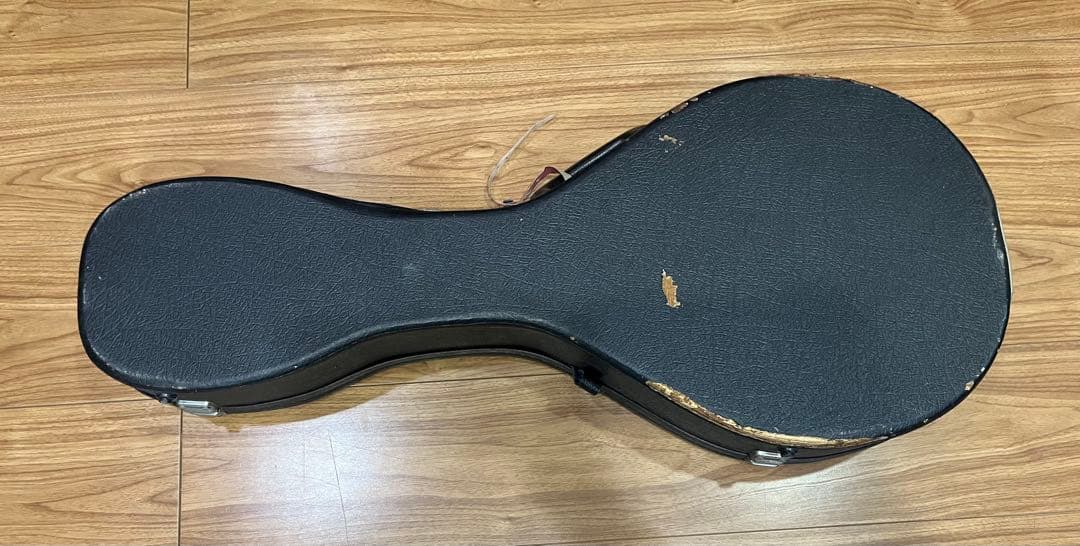 kentucky マンドリン サンイン入り 日本製 - メルカリ