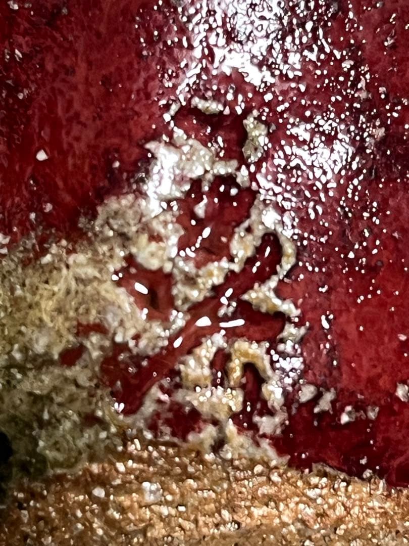 ぐい呑 盃 酒器 常滑焼 水上義介 辰砂釉 - メルカリ