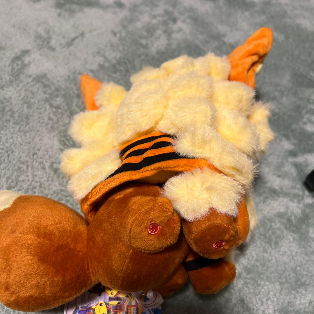 ウィンディポンチョのイーブイ（スマイル）