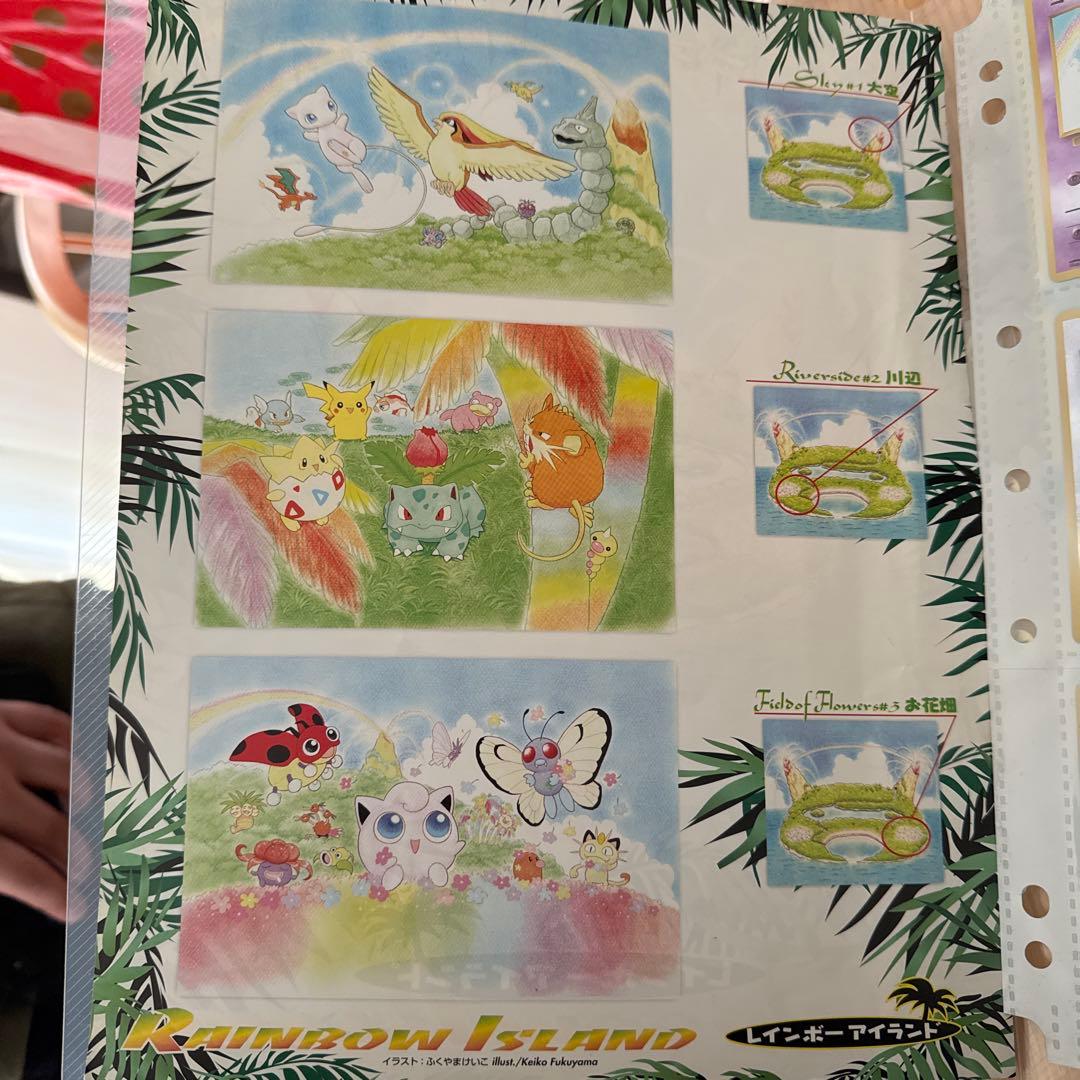 旧裏　ポケモンカード　レインボーアイランド　トロピカルアイランド　全１８枚セット