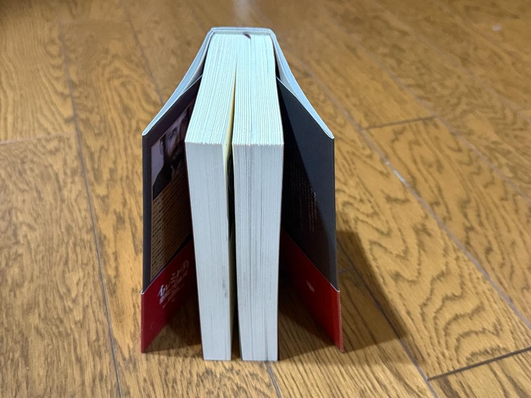 イルミナティ悪魔の13血流 : 世界を収奪支配する巨大名家の素顔