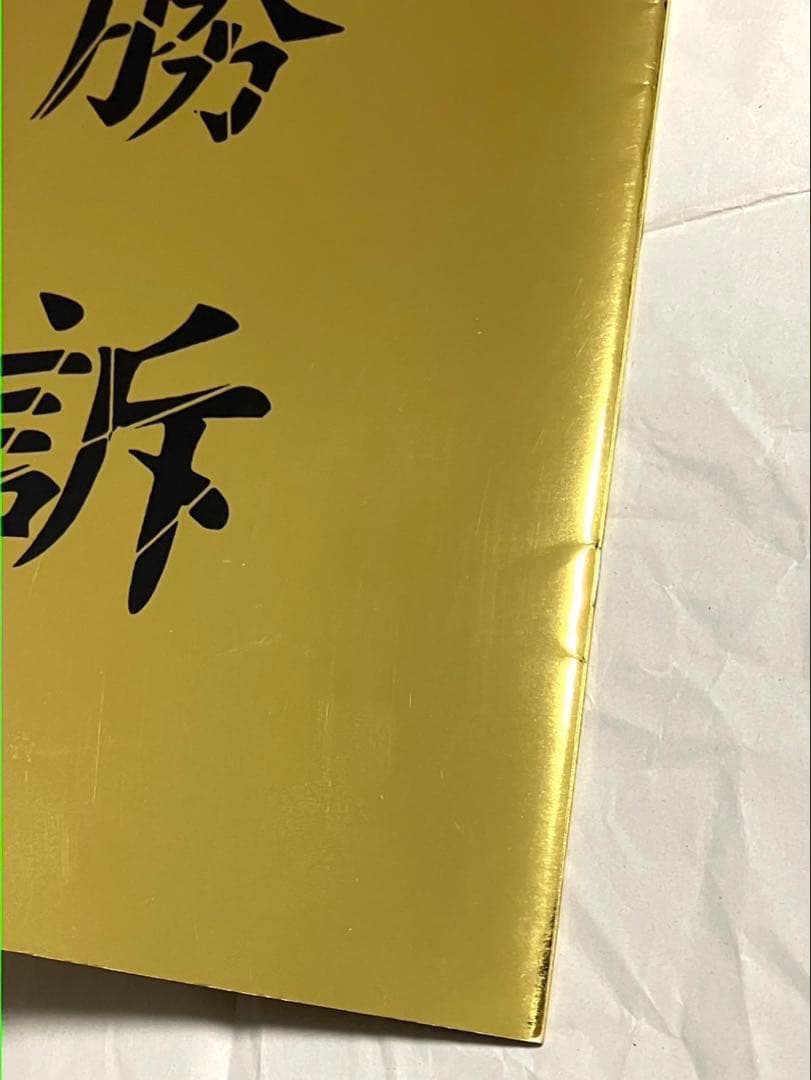 ガゼット 大日本異端芸者 パンフレット 会報 まとめ売り