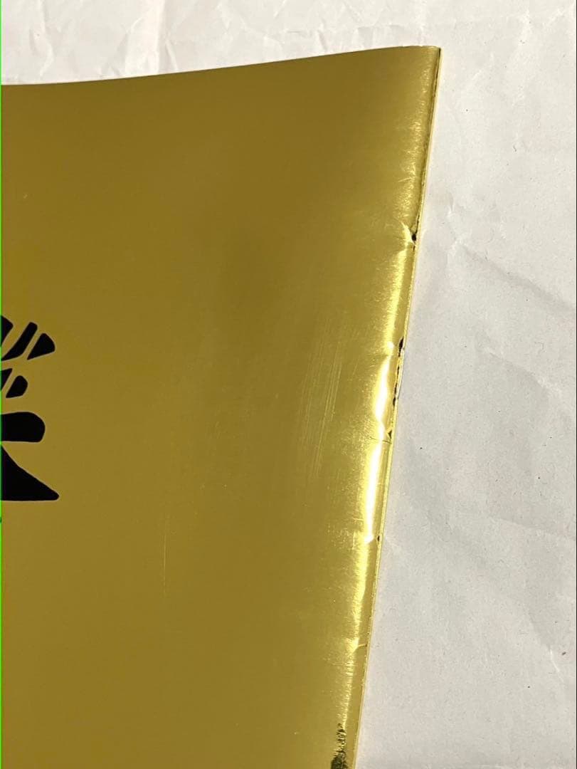 ガゼット 大日本異端芸者 パンフレット 会報 まとめ売り