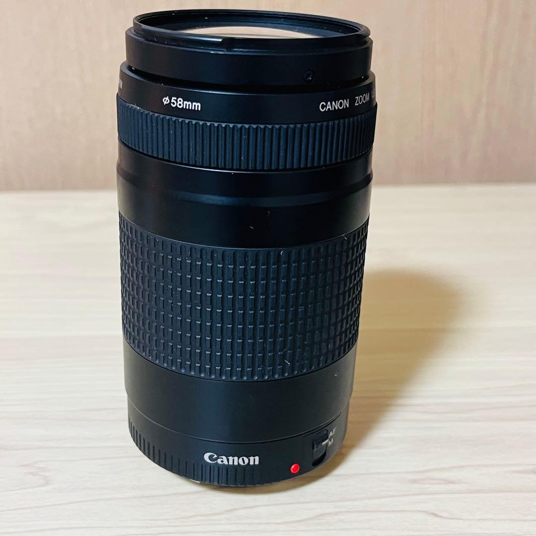 Canon EF 75-300mm f/4-5.6 ズームレンズ ②
