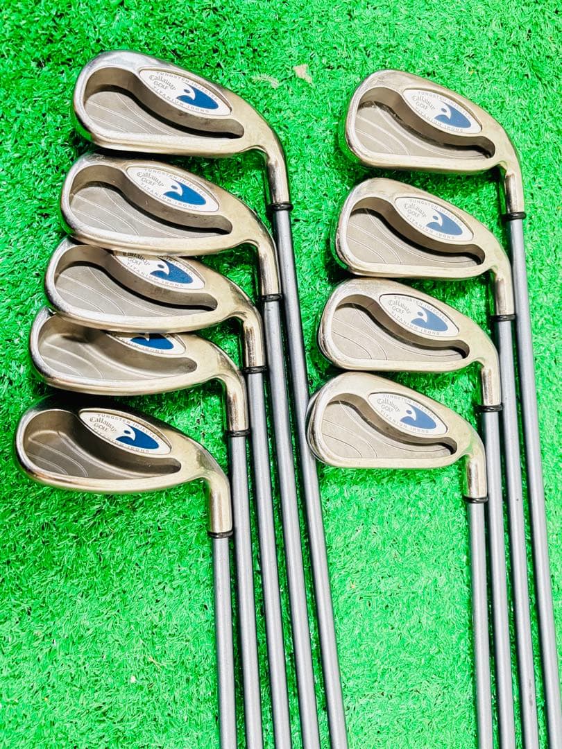 P*2様 キャロウェイ Hawk Eye ホークアイ 9本セット フレックスR 2026年最新】キャロウェイ ホークアイの人気アイテム - メルカリ