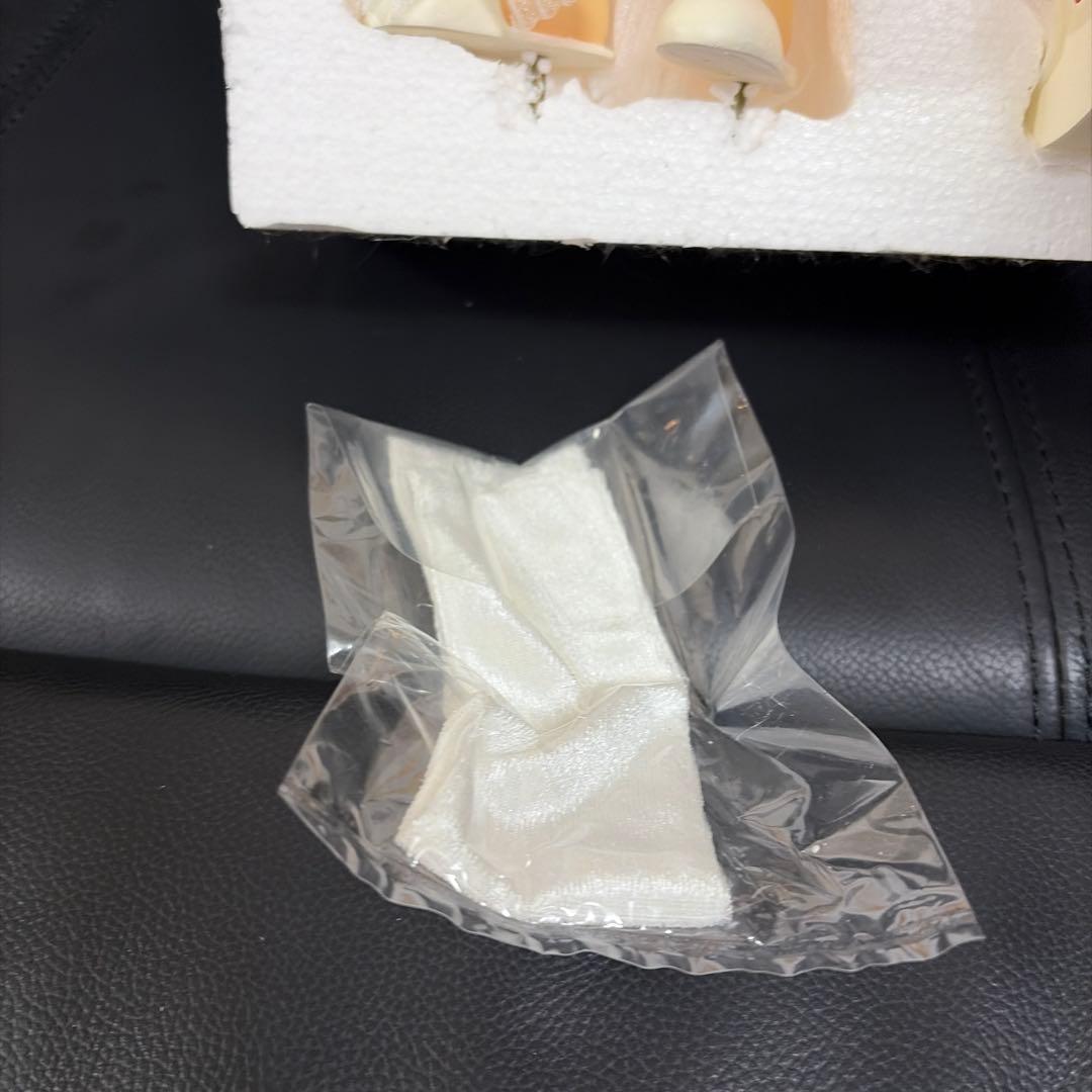 新世紀エヴァンゲリオン　綾波レイ (バスタオル・レイ 水着Ver.) 1/4