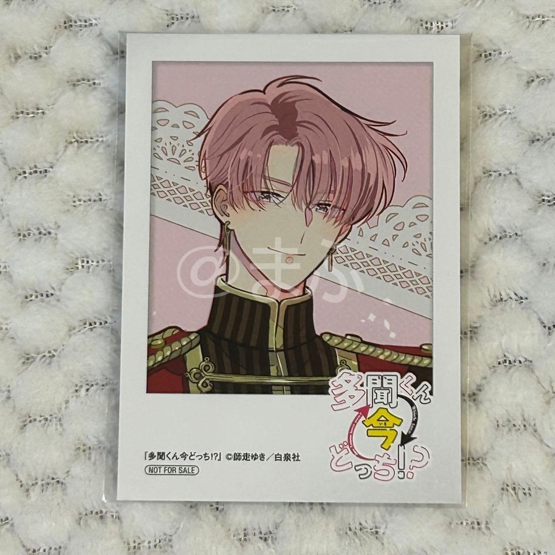 特典のみ☆多聞くん今どっち!? ミニフォトカード 全8種 アニメイト