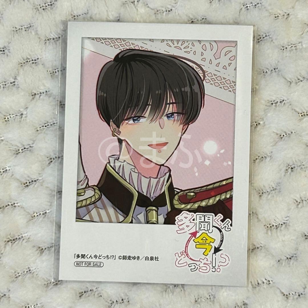 特典のみ☆多聞くん今どっち!? ミニフォトカード 全8種 アニメイト