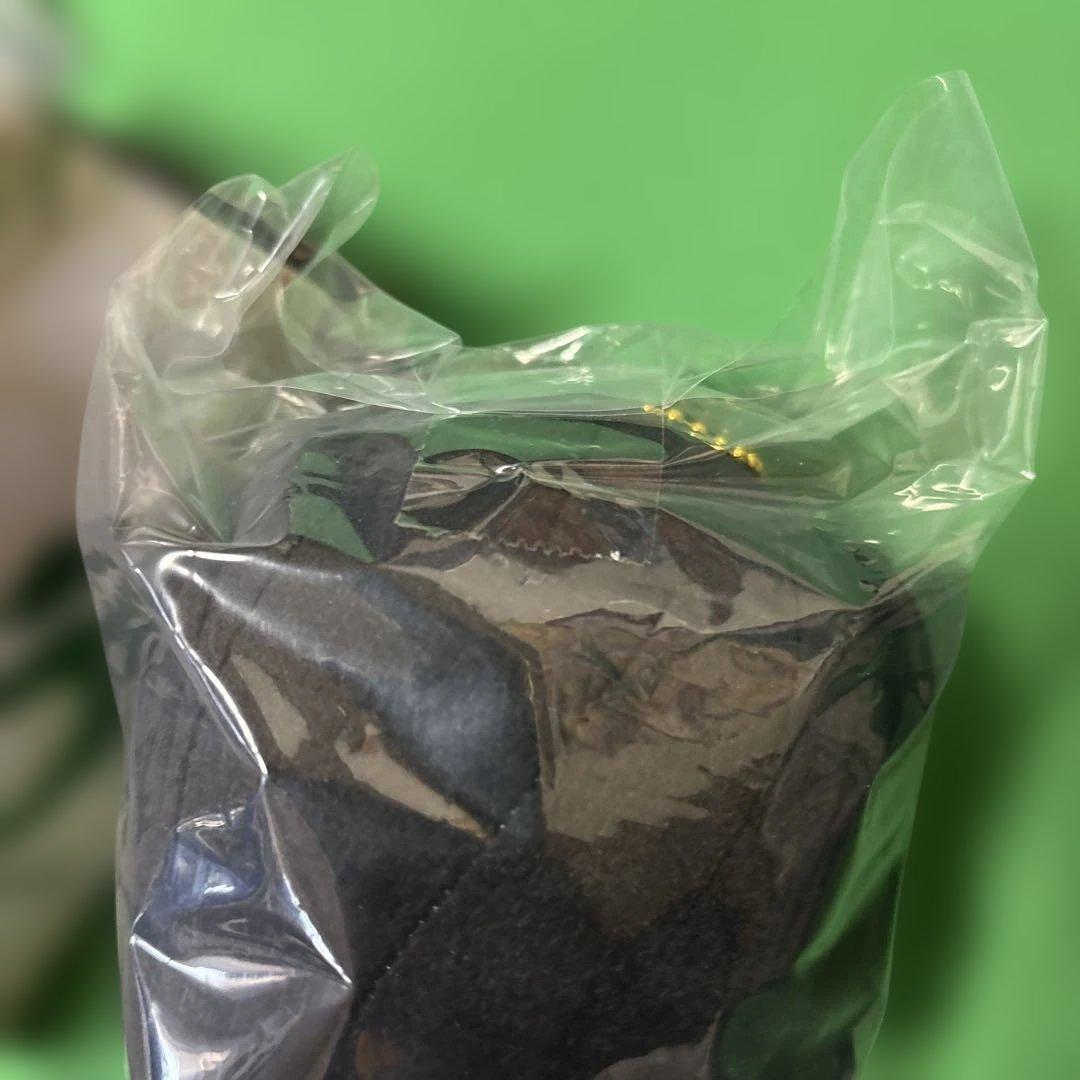 BANDAI ぬいぐるみマスコット A賞　大森元貴