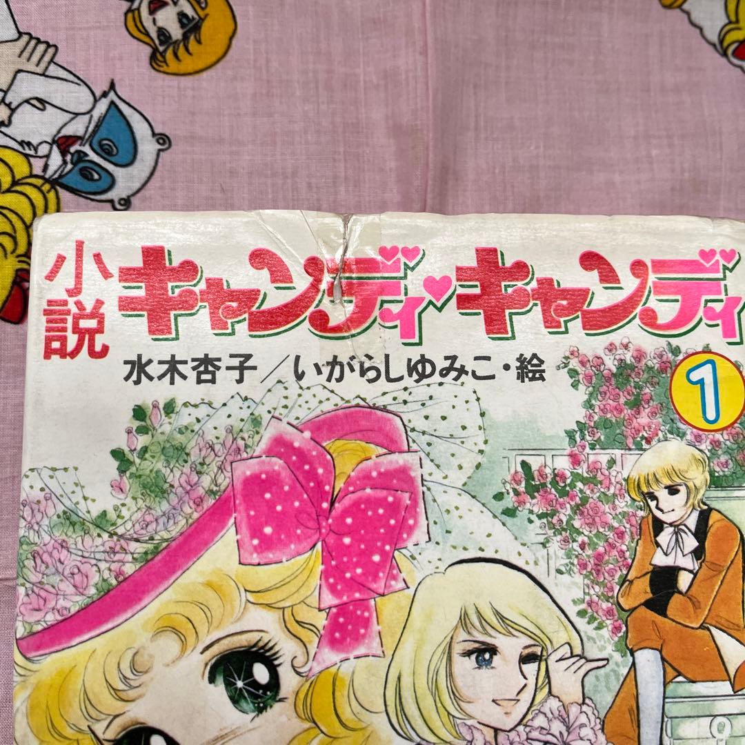 小説キャンディキャンディ 1 - メルカリ