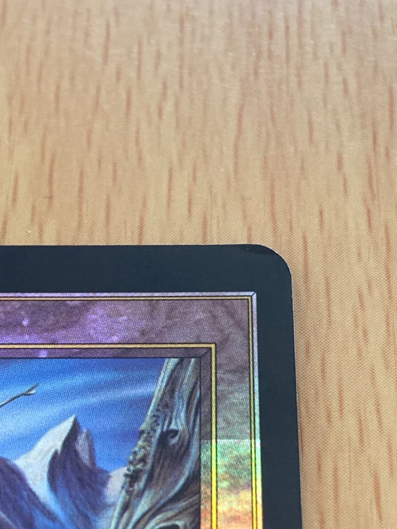 不毛の大地/Wasteland ジャッジ褒賞　FOIL その3