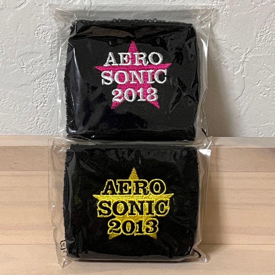 B'z エアロスミス エアロソニック 2013 リストバンド 2個セット