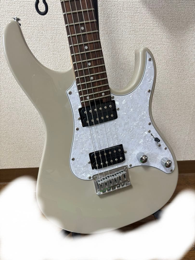 ギター grassroots g-sn-45dx(gray)